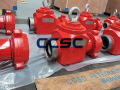 Top Entry type flapper check valve